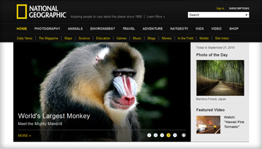 免费ddos压力测试平台